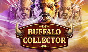 78win63 Buffalo Collector